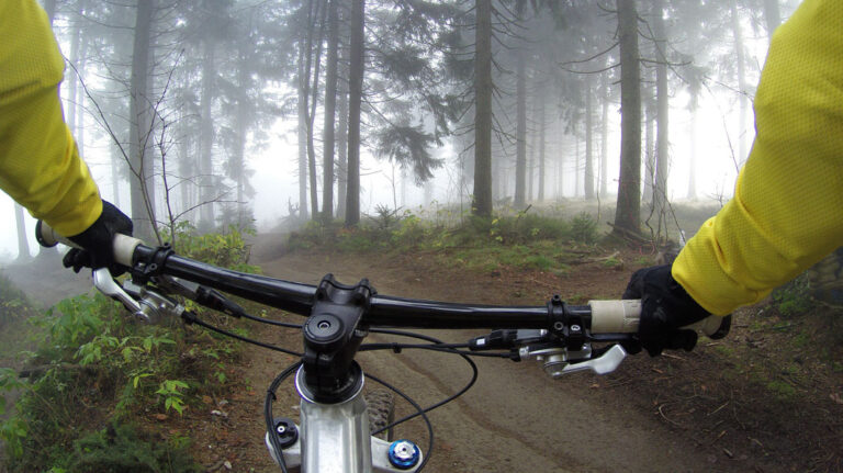 Mit dem Mountainbike im Hochschwarzwald