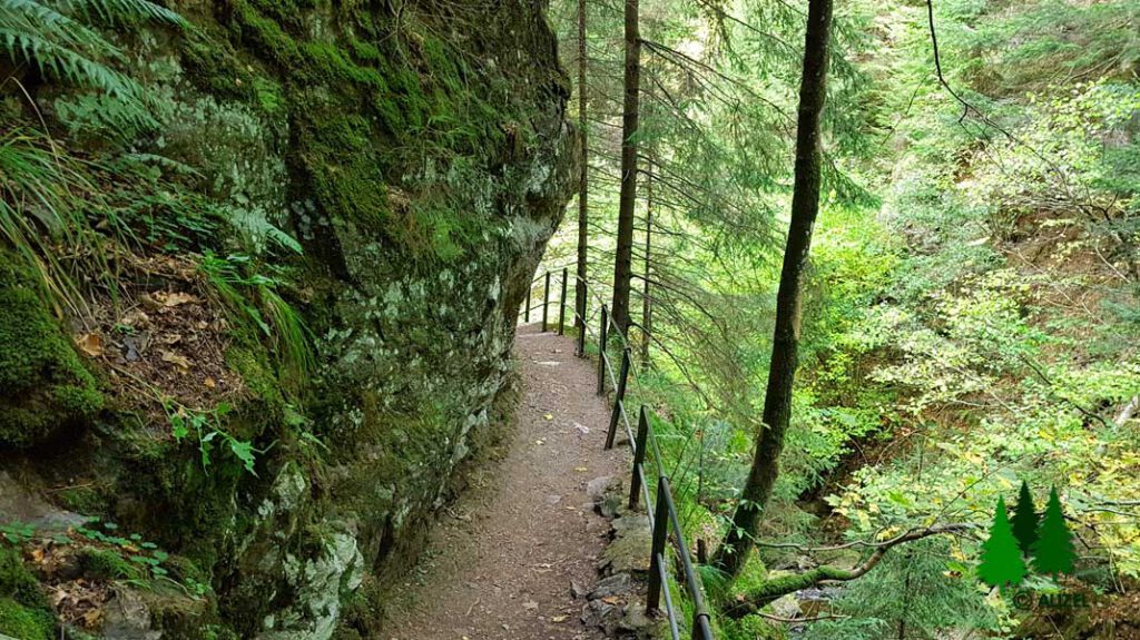 Wandern im Hochschwarzwald