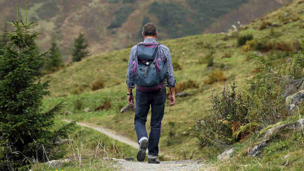 Gesundheitswandern im Südschwarzwald