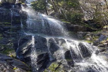 Naturpark Südschwarzwald