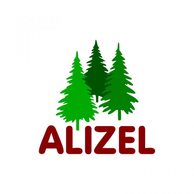 ALIZEL Gruppe